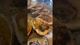 Oysters in Oceanside🦪
