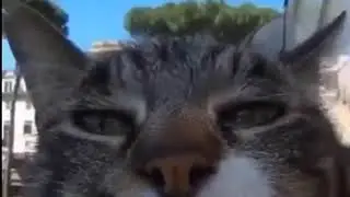 Best Google earth Memes V1