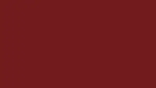 4K PERSIAN PLUM SCREEN #701C1C