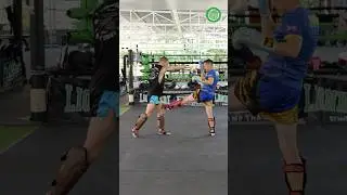 Muay Thai Training - Countering Aggressive Fighters using Kicks with Damien Trainor