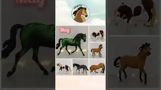 AdragaSky Studios | ✨2022✨ Model Horse Customs 