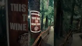 Let’s go and swim in the WINE POOL
