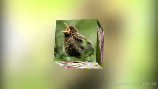 3D Cube for ProShow Producer 5