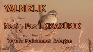 YALNIZLIK /NECİP FAZIL KISAKÜREK