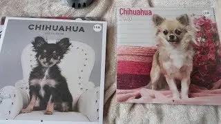 VLOG: ПОСЛЕДНИЕ ВИДЕО С ОСТРОВА!