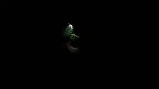 Heavy Rain with thunder in my garden/ fall sleep fast