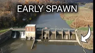 This Spillway had an EARLY SPAWN!