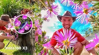 Insta360 X3 - How to Transform Your Nature Shots