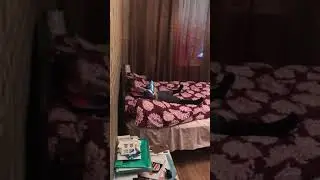 Когда веселью нет предела 😂