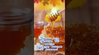 С медовым Спасом