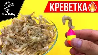Наживка на которую ты НЕ ловил! Ловля КАМБАЛЫ, КАРПА, КАРАСЯ на КРЕВЕТКУ🔥