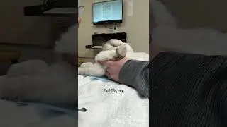 One day our bunny world turned upside down (Part 3) 🐰