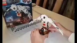  LEGO Harry Potter Hedwig 630 pieces  (75979)