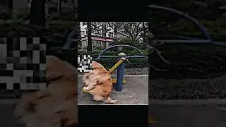 мем