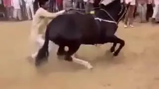 Кадами курбон малика кушти  бобота #😀😀