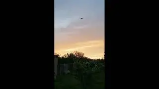 День просыпается. Пригород Одессы. 23.05.2021