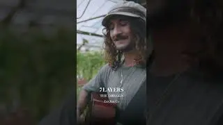 The Dreggs - Let You Go - 7 Layers Session