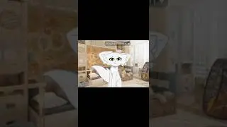 моя первая анимация💋🐱(не судите строго😅)