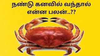 நண்டு கனவில் வந்தால் என்ன பலன்? What is the meaning of a crab in a dream?