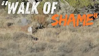 Early Season Coyotes Gone Wrong! | Utah Coyote Calling!