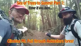 Sea of Trees to Summit Part 1: Climbing Mt. Fuji through Aokigahara forest (青木ケ原樹海)