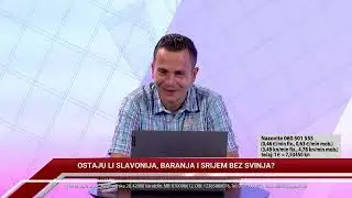 TV REPLIKA 24.08.2023. - OSTAJU LI SLAVONIJA, BARANJA I SRIJEM BEZ SVINJA?