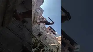 Jumping In Old Rajasthan #travel #explore #adventure #shortvideo #india #shorts