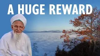 A Huge Reward