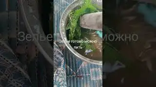 извините пожалуйста что так долго не выходили видео #музыка #гномы #боже #тренд #существа