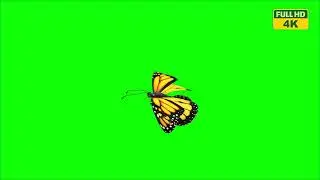 Welcome to Green Screen Animate, 