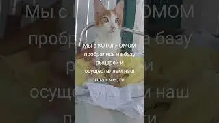 #музыка #гномы #боже #тренд #существа #рыцари #юмор #мем #жиза #прикол #КОТОГНОМ КОТОГНОМ