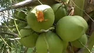 ชมสวนเกษตรวันอากาศดีๆ