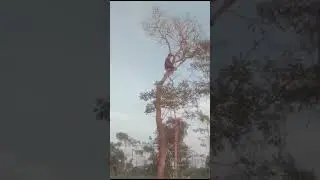 28 फ़रवरी 2024