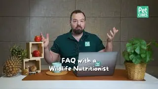 FAQ with a Wildlife Nutritionist Part 1 | Commonly asked questions about your pets' nutrition!