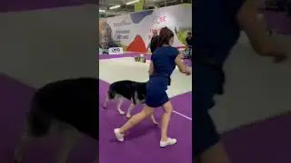 BEST JUNIOR - 1! Ольвал Дэнис РУМБАЛУ