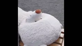 Огромный плюшевый мишка никому не нужен???