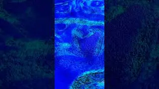 Particle Surface Flow Redshift  