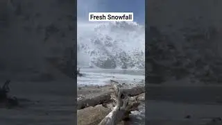 Fresh Snowfall 