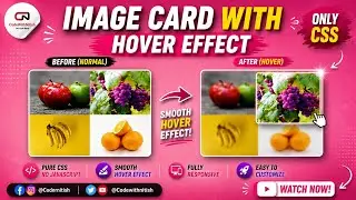 Image Card with Hover Effect using HTML and CSS ||
