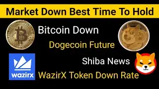 Crypto News Today | Bitcoin Crash | TRX Growing | Wink Coin News | Shiba & Dogecoin Will Grow? WZRX