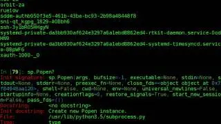 python subprocess - glob - wildcards - call - check_call - check_output - popen