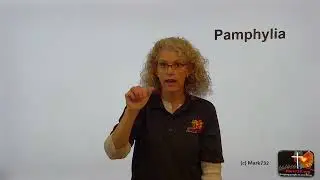 Pamphylia