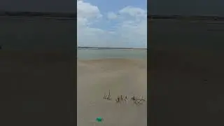 Dunas en la desembocadura del río Negro en el Océano Atlántico