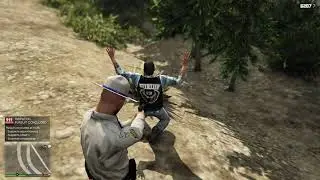 GTA V,  LSPDFR  CODE 3