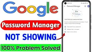 Google Password Manager Not Showing Password | Google Passwords Not Working | Fix Password Problem