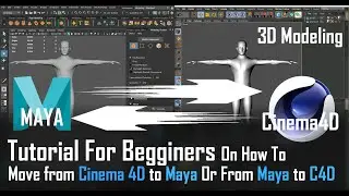 3D MODELING BASICS FOR BEGINNERS IN CINEMA 4D and MAYA (MOVING from CINEMA 4D to MAYA)Modeling tools