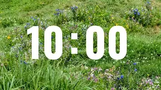 10 Minute Countdown Timer with Dreamy Music
