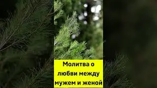 Молитва о любви между мужем и женой 
