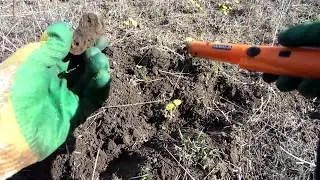 Коп в слепую. Что можно найти в поле?