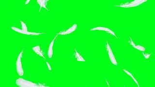 feather green screen effect